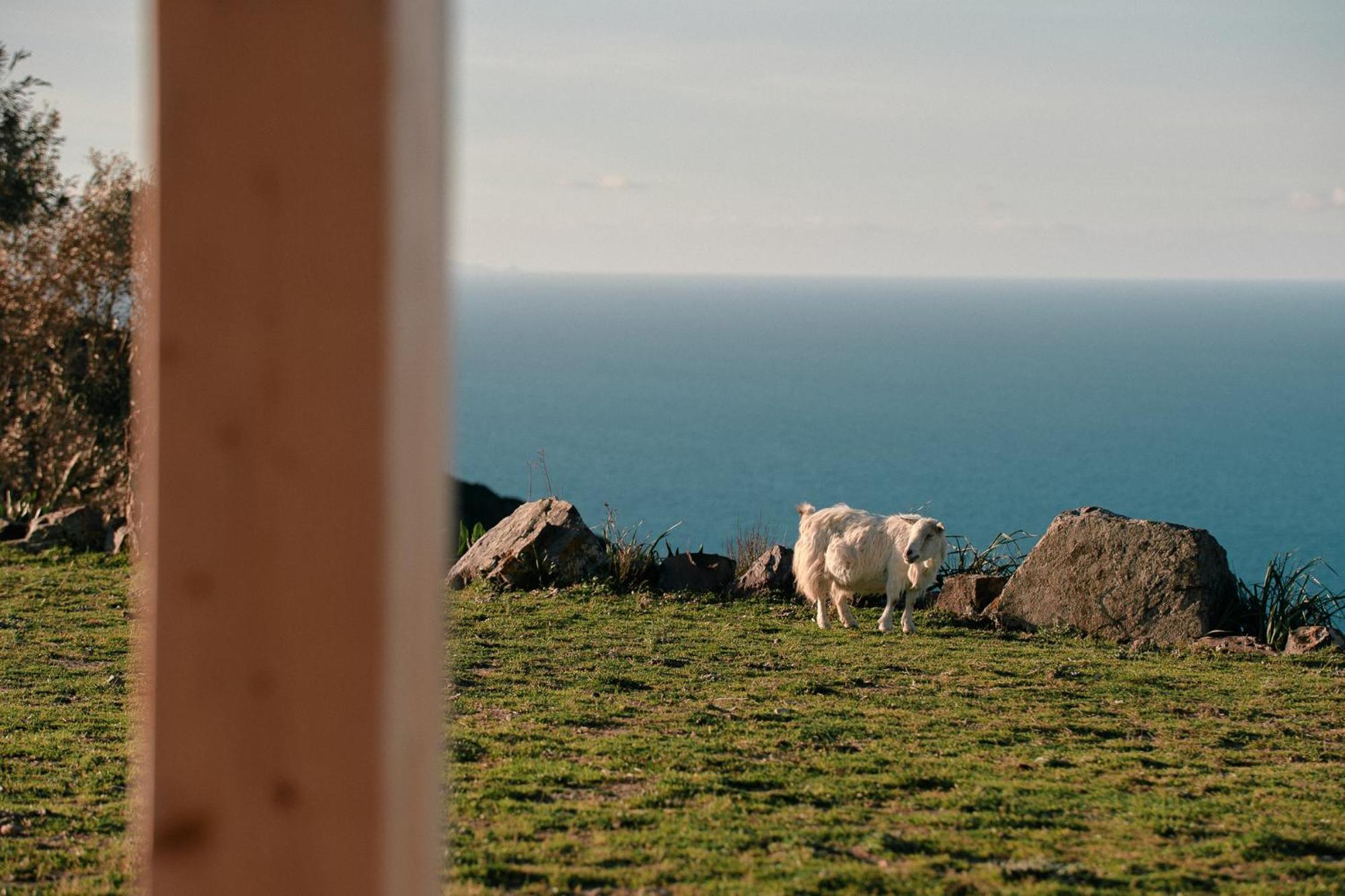 New Suites Sea View Sardinia, Castelsardo Kültér fotó